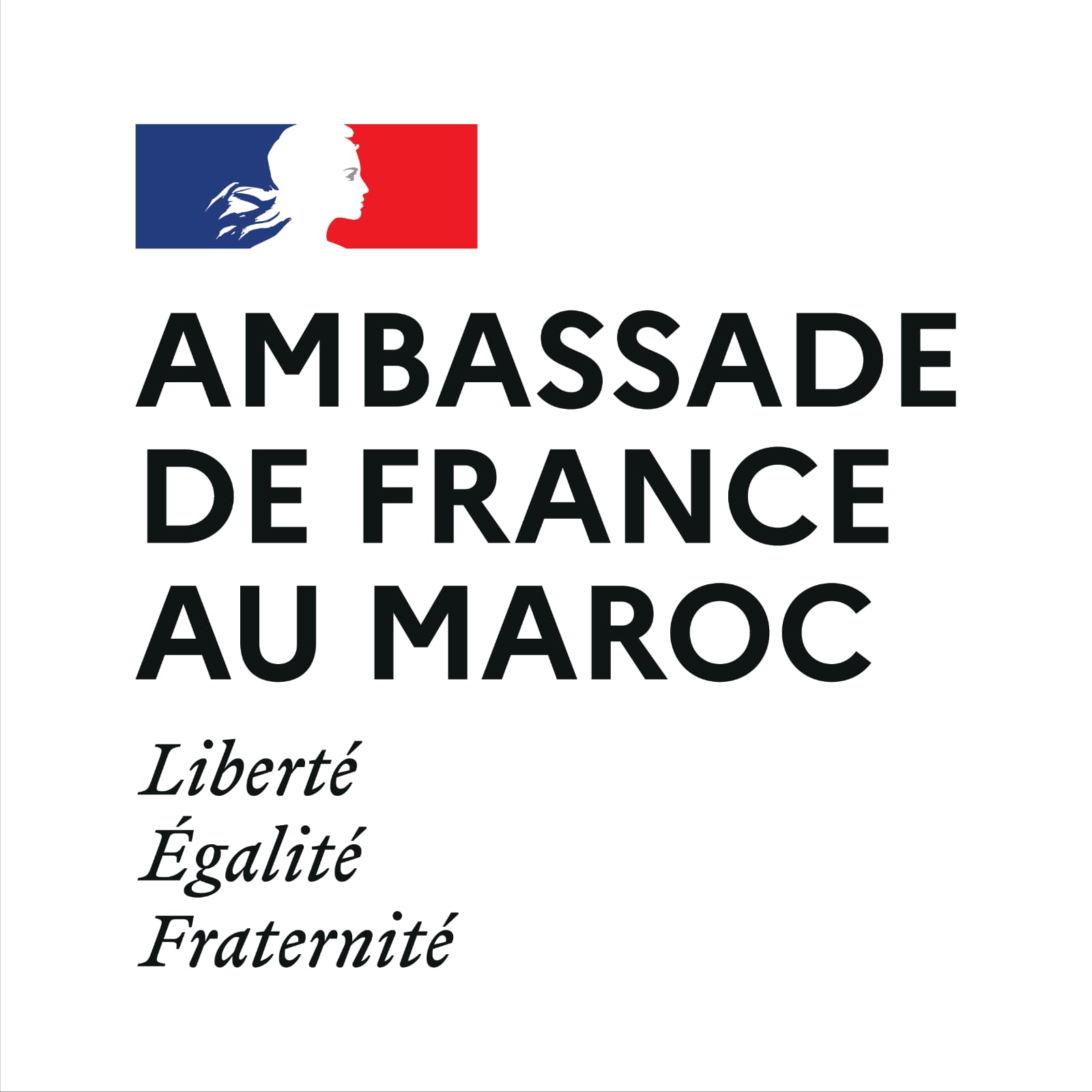 Institut Français Maroc